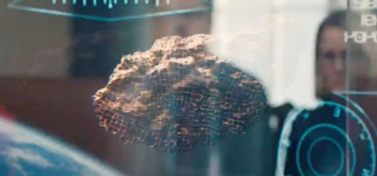 Netflix Original Sci-Fi Comedy Finds Dark Humor In An Extinction-Level Event