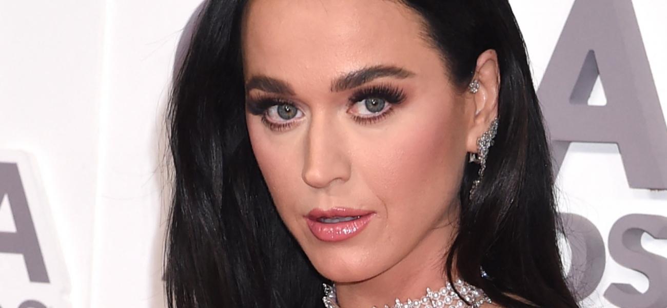 Katy Perry Dealt Another Blow After Blue Origin Spaceflight