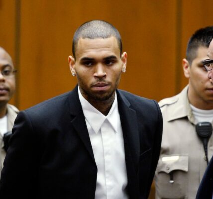 Chris Brown's Legal Troubles, Accusations and Arrests: A Timeline