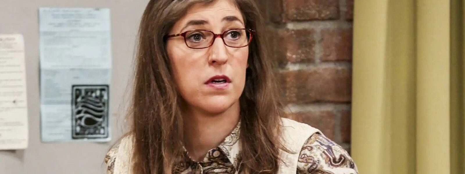 Mayim Bialik Disagreed With The Big Bang Theory Writers About One Plot Point