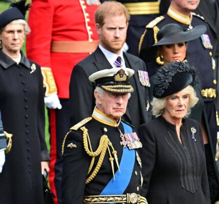 Prince Harry And Meghan Snubbed From The Trooping The Colour Again
