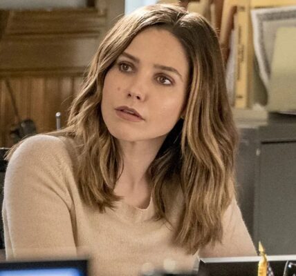 Why Sophia Bush's Erin Lindsay Left Chicago P.D.