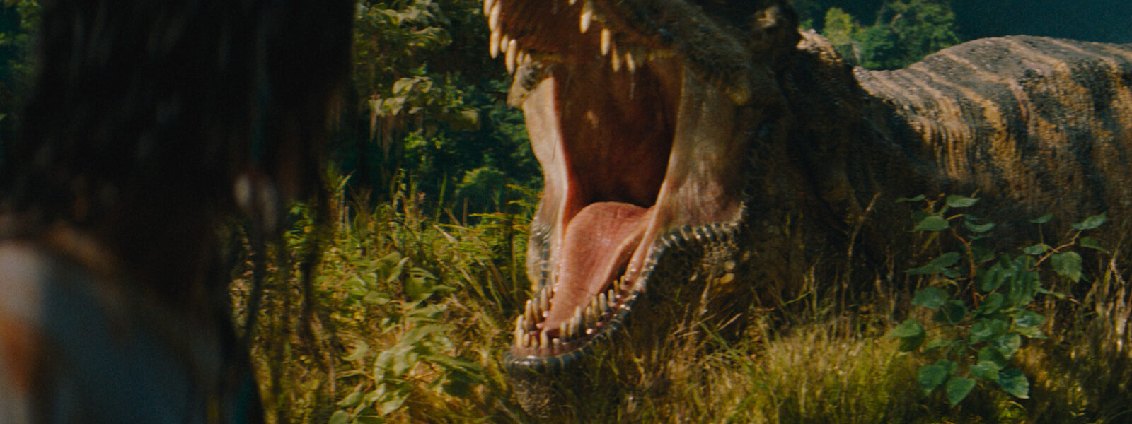 The New Dinosaurs Of Jurassic World Rebirth Explained