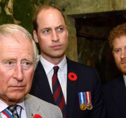 Prince Harry and Prince William Feud: A 'Different Beast' Explained