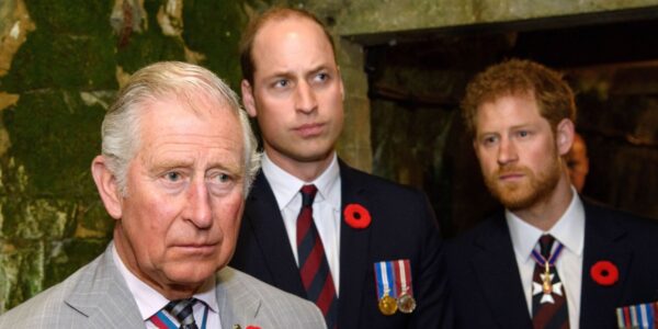 Prince Harry and Prince William Feud: A 'Different Beast' Explained