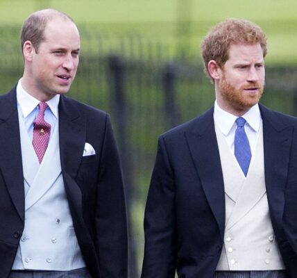 Inside Prince William and Prince Harry’s Relationship Over the Years